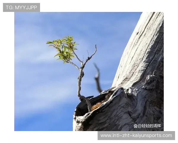 逆境中成长，追求更高的突破！，逆境中成长的示例
