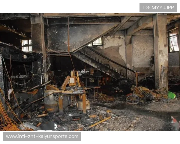 黑熊“出逃”酿惨剧，谁来负责？